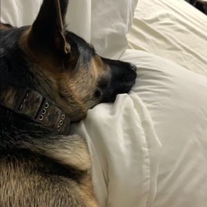 Meet your Posher, Crystal